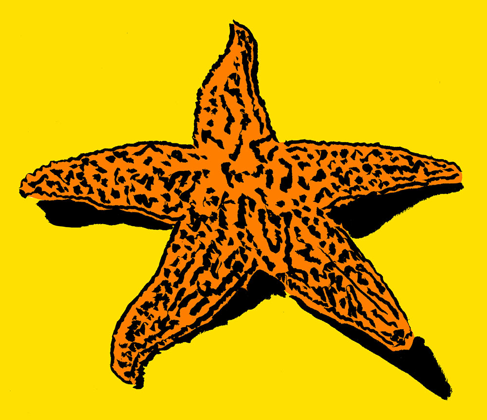 Etoile de mer